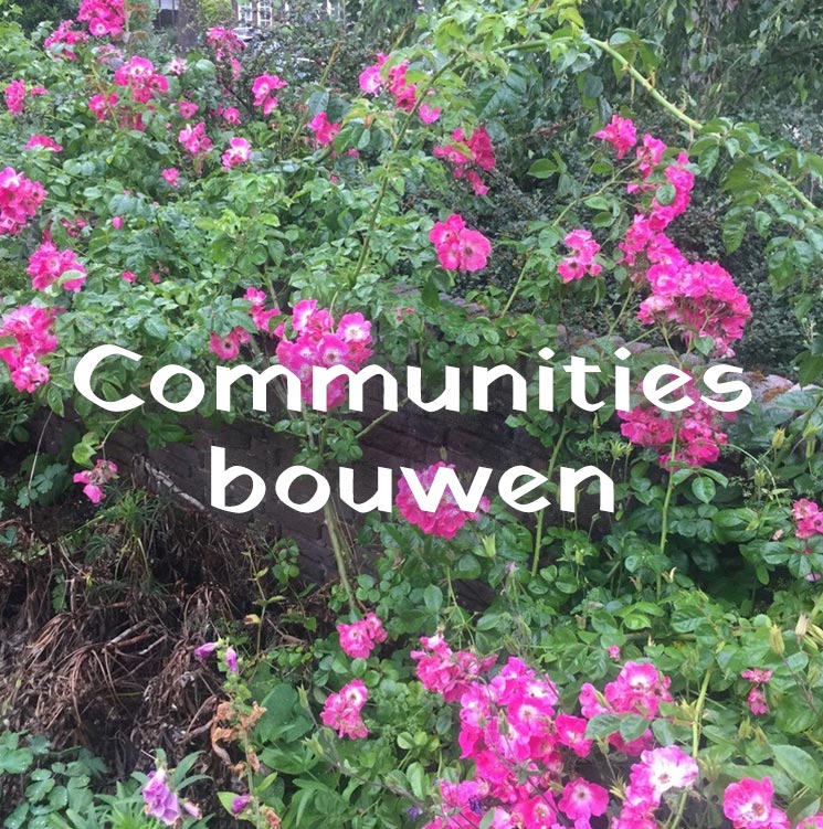 Knop Communities bouwen