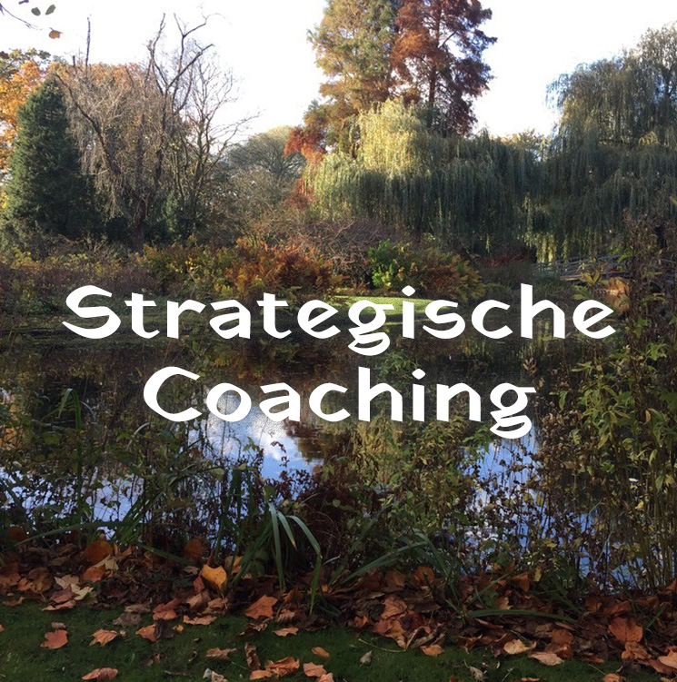 Knop Strategische coaching